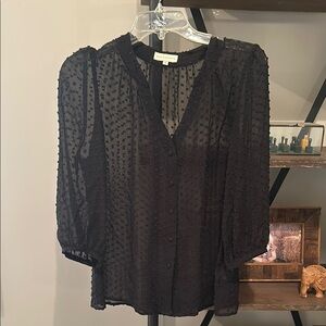 Black Sheer Blouse